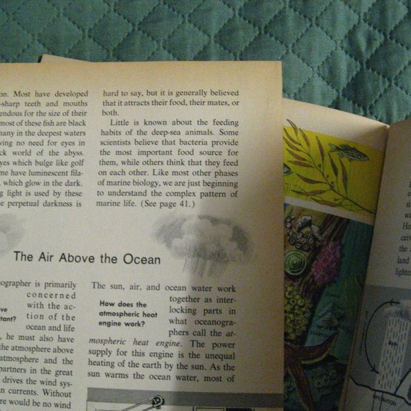 How And Why Wonder Book Of Oceanography 1964 - Picture 9 of 9